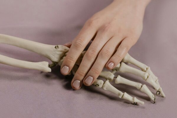 A close-up image of a human hand touching a skeleton hand on a soft background.