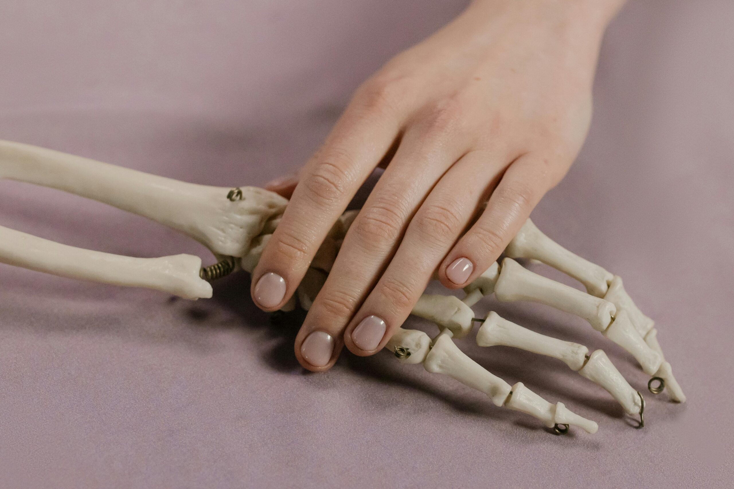 A close-up image of a human hand touching a skeleton hand on a soft background.