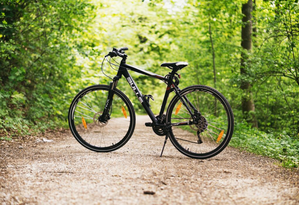 A mountain bike resting on a forest path surrounded by lush green trees in broad daylight.