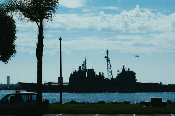 Silhouette of a navy warship in daylight, framed by palm trees and a clear sky.