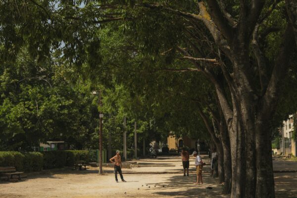 Children playing in the shade of large trees in a sunny park in Éx-an-Provence, France.